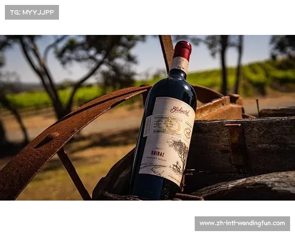 德国战车险境之战 西班牙能否再添胜利的荣耀