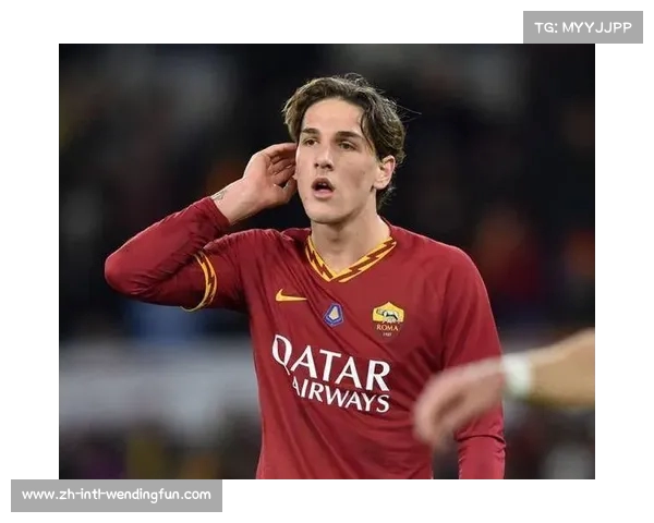 扎尼奥洛谈无缘世界杯失望情绪表示要积极向前看