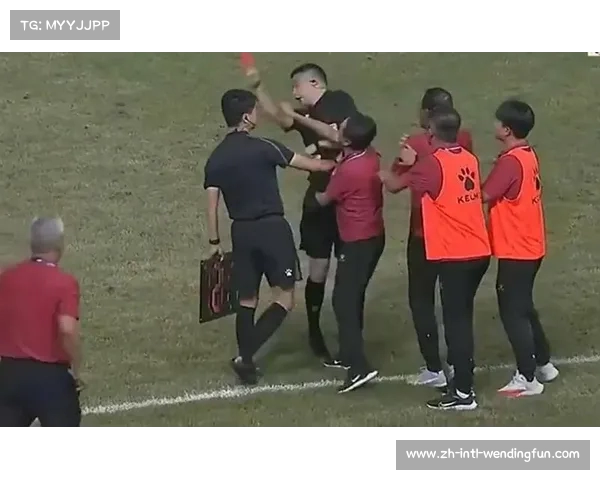 教练段鑫因掌掴裁判致歉事件最新进展 无大碍已主动表态